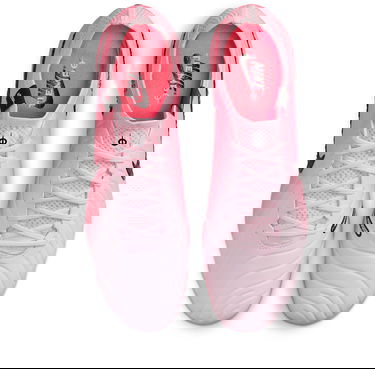 Superge in čevlji Nike LEGEND 10 ELITE FG Roza | dv4328-601, 3