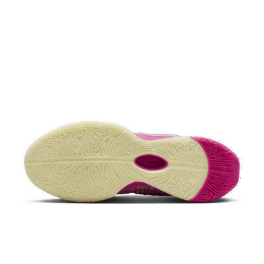 Superge in čevlji Nike LeBron 21 Roza | HF0721-900, 4