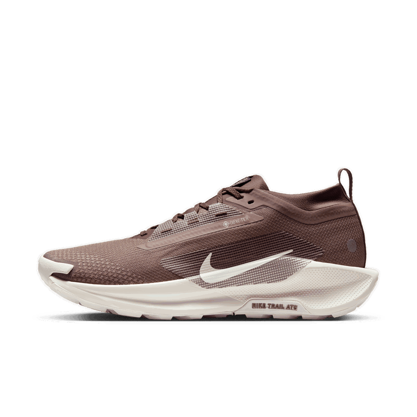 Superge in čevlji Nike Pegasus Trail 5 GORE-TEX SP Rjava | HQ7494-200