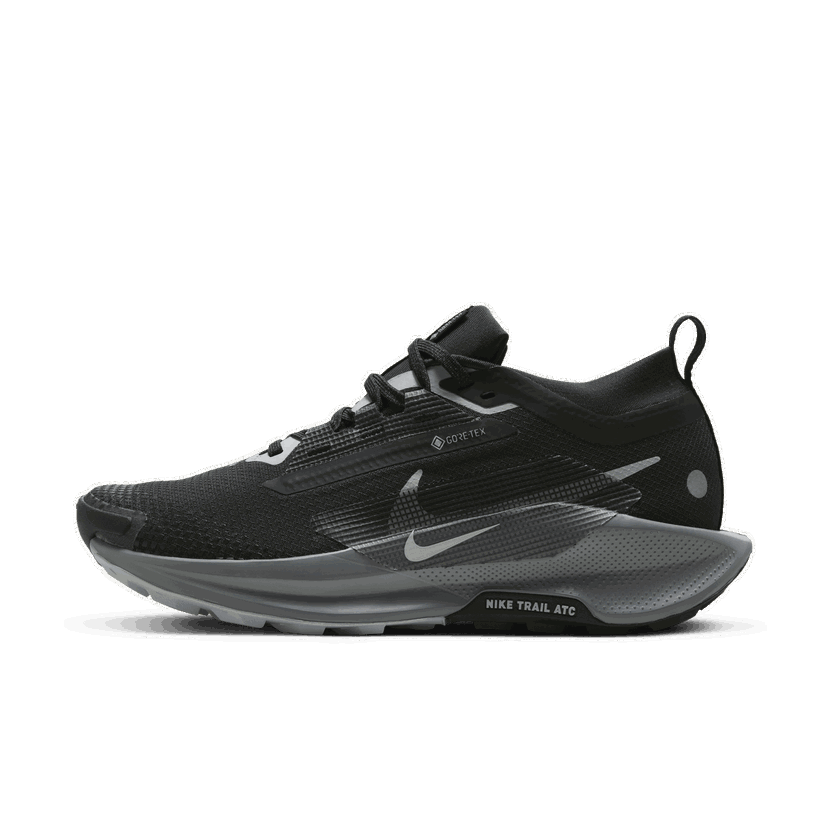 Tek Nike Pegasus Trail 5 GORE-TEX Črna | FQ0912-001