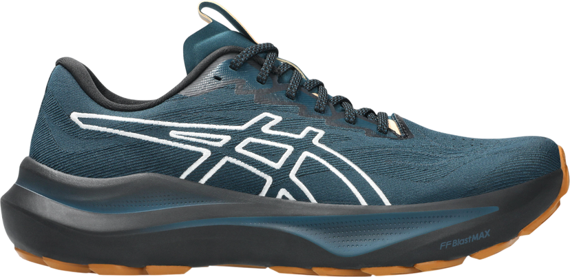 Superge in čevlji Asics GT-2000 14 TR Modra | 1011c129-300