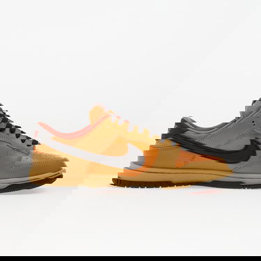 Superge in čevlji Nike Dunk Low Gtx Rjava | HQ2053-700, 2