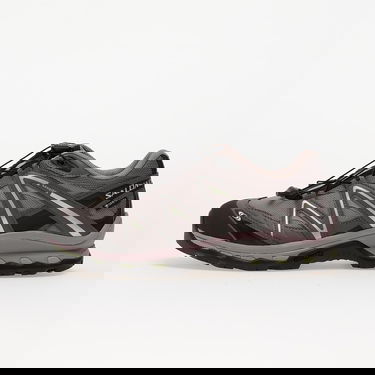 Superge in čevlji Salomon XT-Quest Gore-Tex Siva | L49127700, 0