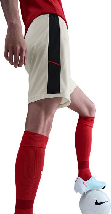 Kratke hlače Nike Dri-FIT Academy 25 Shorts Bež | hj3796-133, 1