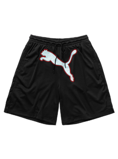 Kratke hlače Puma DUA LIPA BASKETBALL Črna | 4065451176137