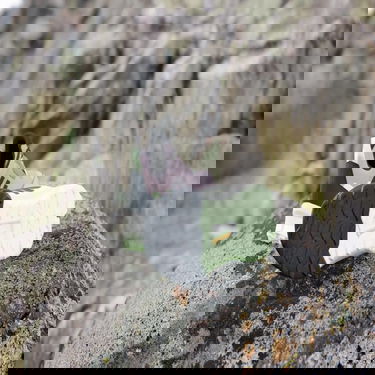 Superge in čevlji adidas Performance adidas TERREX Boty Terrex AX4 Hiking Lila | IE2571, 2