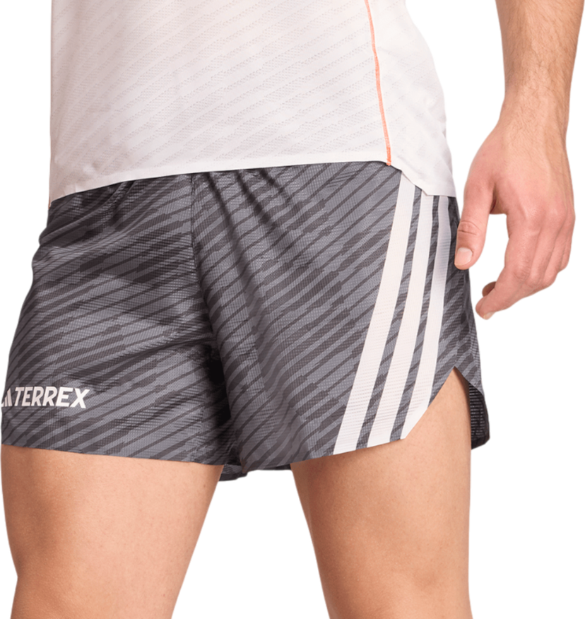 Kratke hlače adidas Performance Terrex Techrock Shorts Siva | jw5318