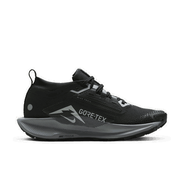 Superge in čevlji Nike Pegasus Trail 5 GORE-TEX Črna | FQ0912-001, 4
