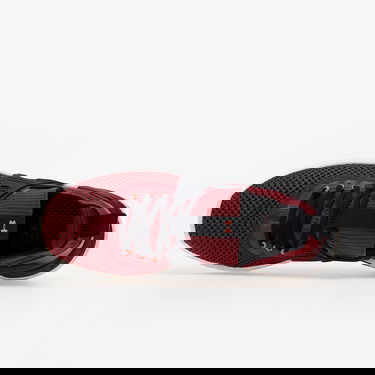 Superge in čevlji Under Armour Project Rock 4 Rdeča | 3023695-600, 2