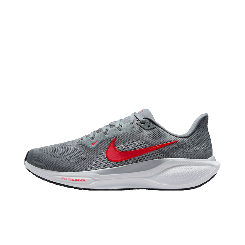 Superge in čevlji Nike Pegasus 41 Siva | fd2722-013