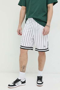 Small Signature Pinstripe Mesh Shorts