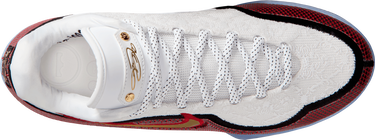 Superge in čevlji Nike LeBron XXIII Večbarvna | hj5629-100, 3