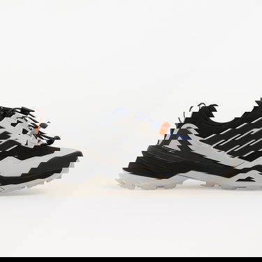 Superge in čevlji adidas Performance Terrex Skychaser GORE-TEX Hiking Shoes Siva | IH2799, 2