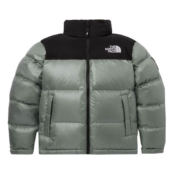 Puhovka The North Face White Label Novelty Nuptse Down Jacket Zelena | NJ1DP62N