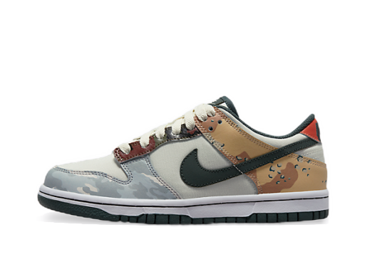 Superge in čevlji Nike Dunk Low SE "Sail Multi-Camo" GS Večbarvna | DB1909-100