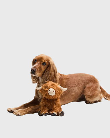 Igra Barbour Highland Cow Plush Toy Rjava | DAC0114BR11, 1