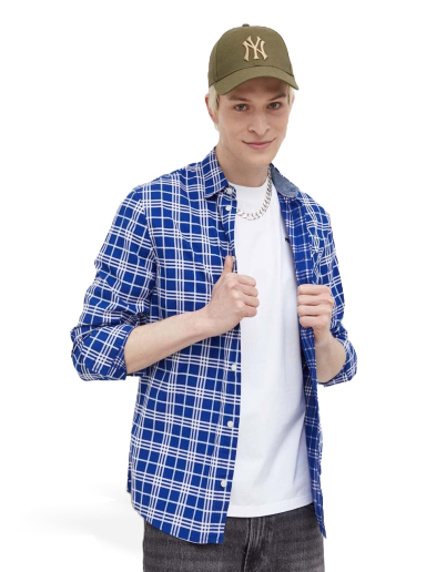 Srajce Tommy Hilfiger Small Check Shirt Večbarvna | DM0DM16608