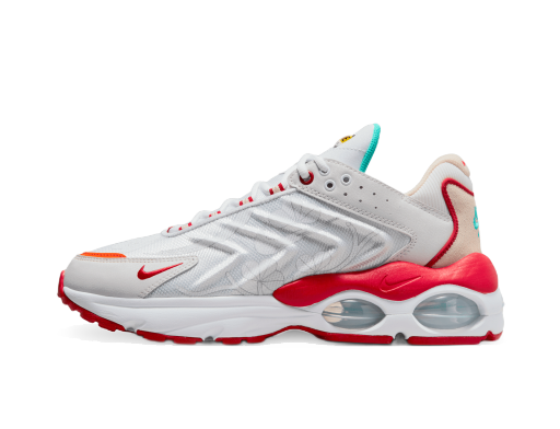 Superge in čevlji Nike Air Max TW Siva | FD4318-161