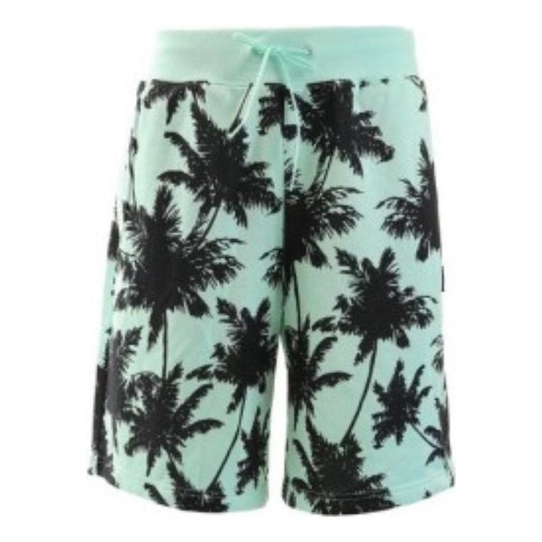 Kratke hlače Puma Palm Tree Shorts Zelena | 578258-34