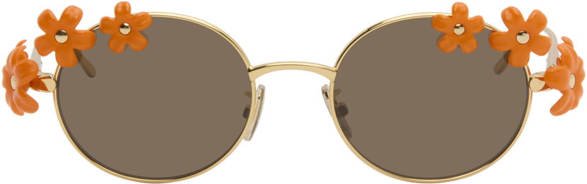 Sončna očala Loewe Signature Round-Frame Floral Applique Sunglasses Oranžna | LW40173UM5130F 840126861532
