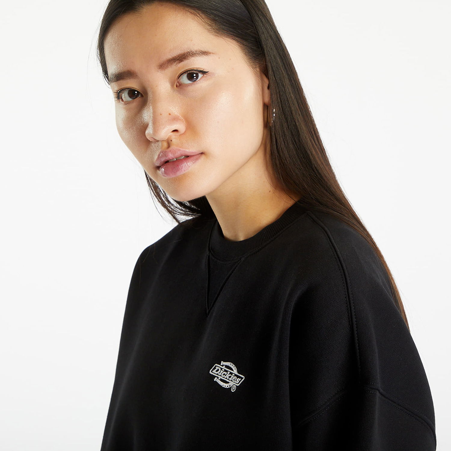 Pulover Dickies Hoodie Črna | DK0A4XYXBLK1, 1