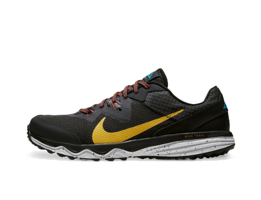 Tek Nike Juniper Trail Črna | cw3808-005