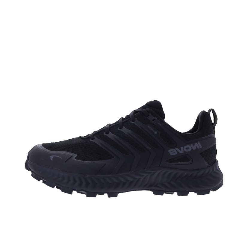 Superge in čevlji inov-8 INOV-8 Roclite Gtx Črna | 001287-bkdg-w-001