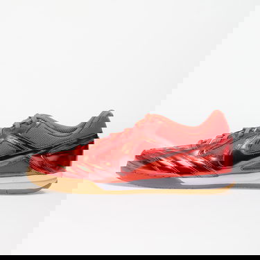 Superge in čevlji Nike GATO LV8 Rdeča | IB3566-600, 0