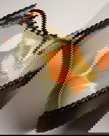 Superge in čevlji Dr. Martens x Tate 1460 Večbarvna | 31730649, 4