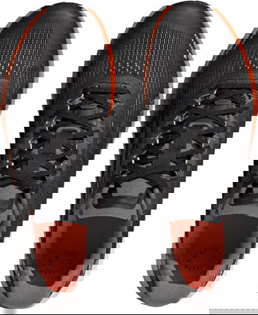 Superge in čevlji adidas Performance TERREX AGRAVIC FLOW 2 GTX Črna | hr1110, 4