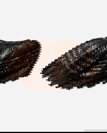 Krila The North Face Cecilie Bahnsen Elena Puffy Down Skirt with Embroidered Hem Rjava | NF0A8FFD2451 NF245, 2