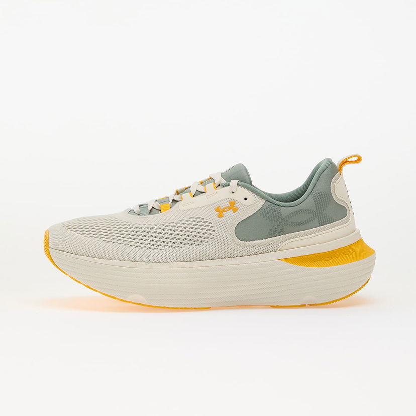 Superge in čevlji Under Armour Infinite Elite 2 Bež | 3028169-280