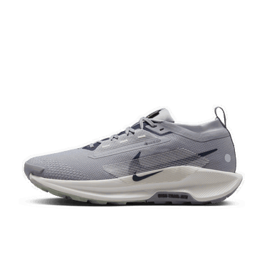 Superge in čevlji Nike Pegasus Trail 5 GORE-TEX Siva | FQ0908-006, 3