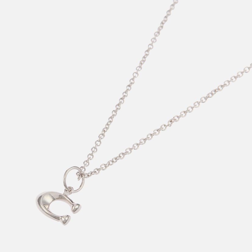 Ogrlica Coach Starter Chain Silver-Tone Pendant Necklace Kovinski | 37335949RHO030