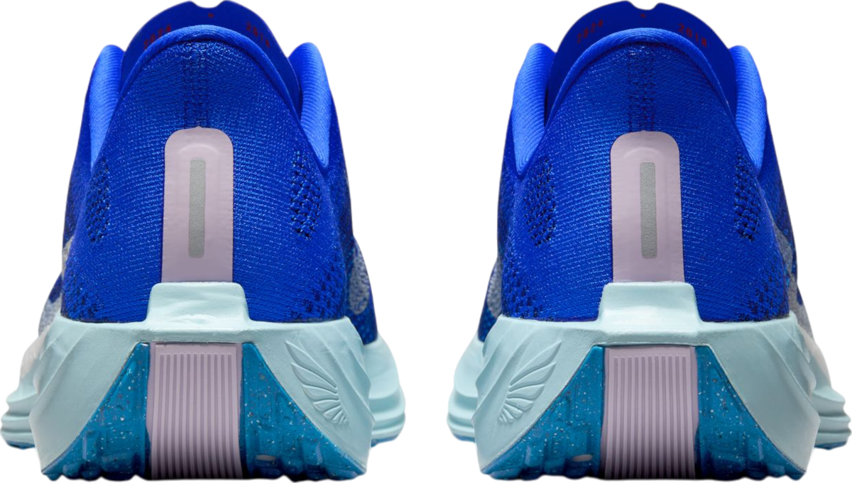 Superge in čevlji Nike Pegasus Plus Premium Modra | hq1719-400, 1