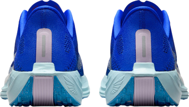 Superge in čevlji Nike Pegasus Plus Premium Modra | hq1719-400, 1