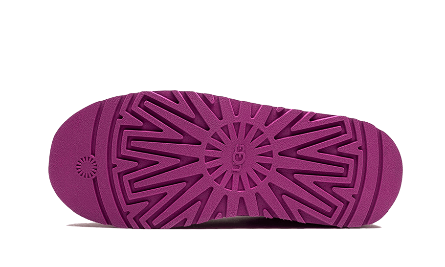 Superge in čevlji UGG Tazz Slipper Mangosteen Bordo | 1122553-MGS, 1