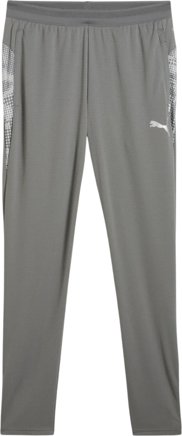Trenirka Puma teamCUP Training Pants Siva | 659175-13, 0