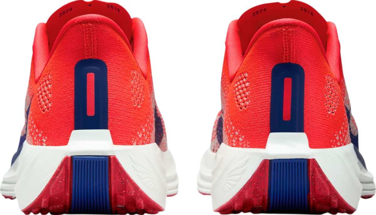 Superge in čevlji Nike Pegasus Plus Rdeča | fq7261-602, 1