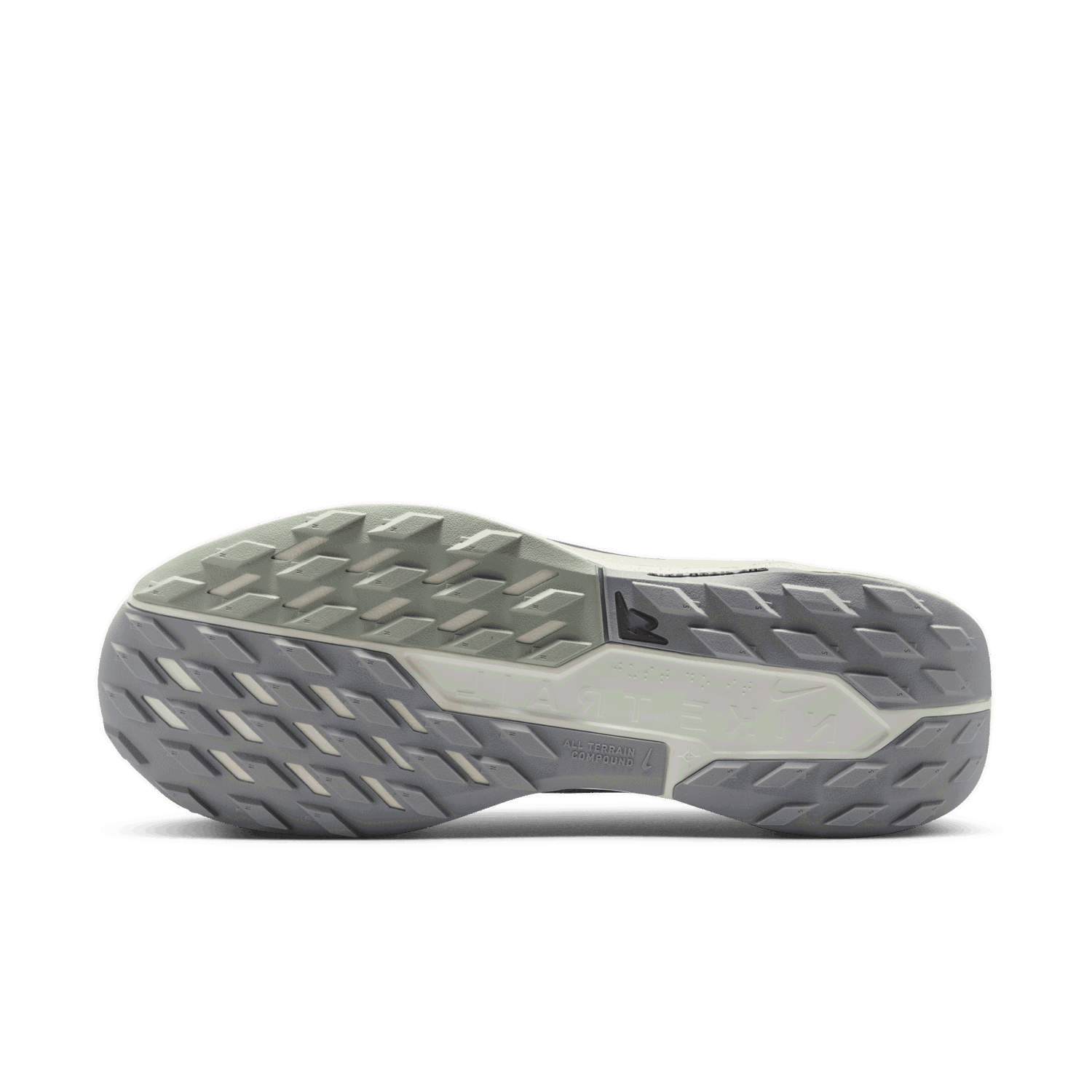 Superge in čevlji Nike Pegasus Trail 5 GORE-TEX Siva | FQ0908-006, 1