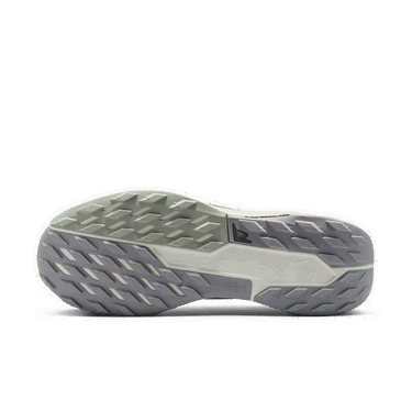 Superge in čevlji Nike Pegasus Trail 5 GORE-TEX Siva | FQ0908-006, 1