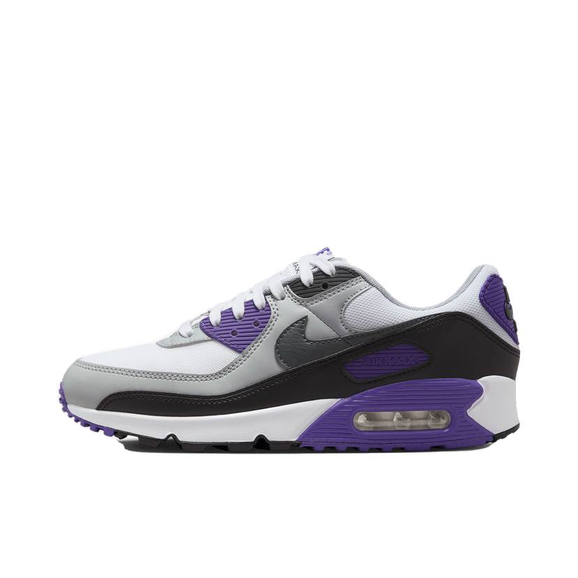 Superge in čevlji Nike Air Max 90 NN Lila | DH8010-110