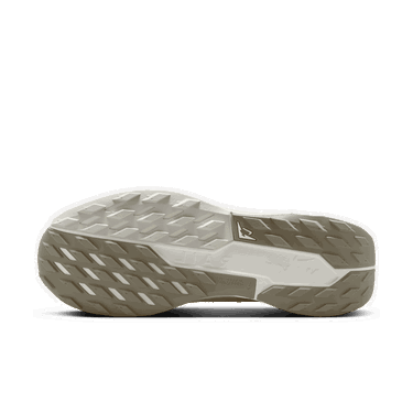Superge in čevlji Nike Pegasus Trail 5 GORE-TEX Bež | FQ0908-008, 3