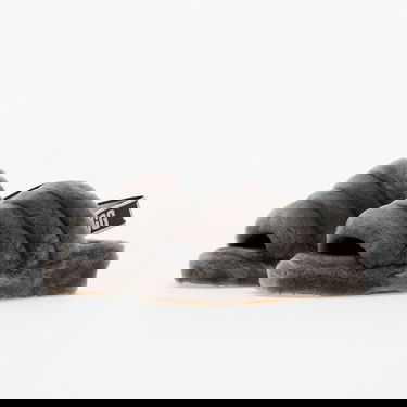 Superge in čevlji UGG Fluff Yeah "Charcoal" W Siva | 1095119-CHRC, 5