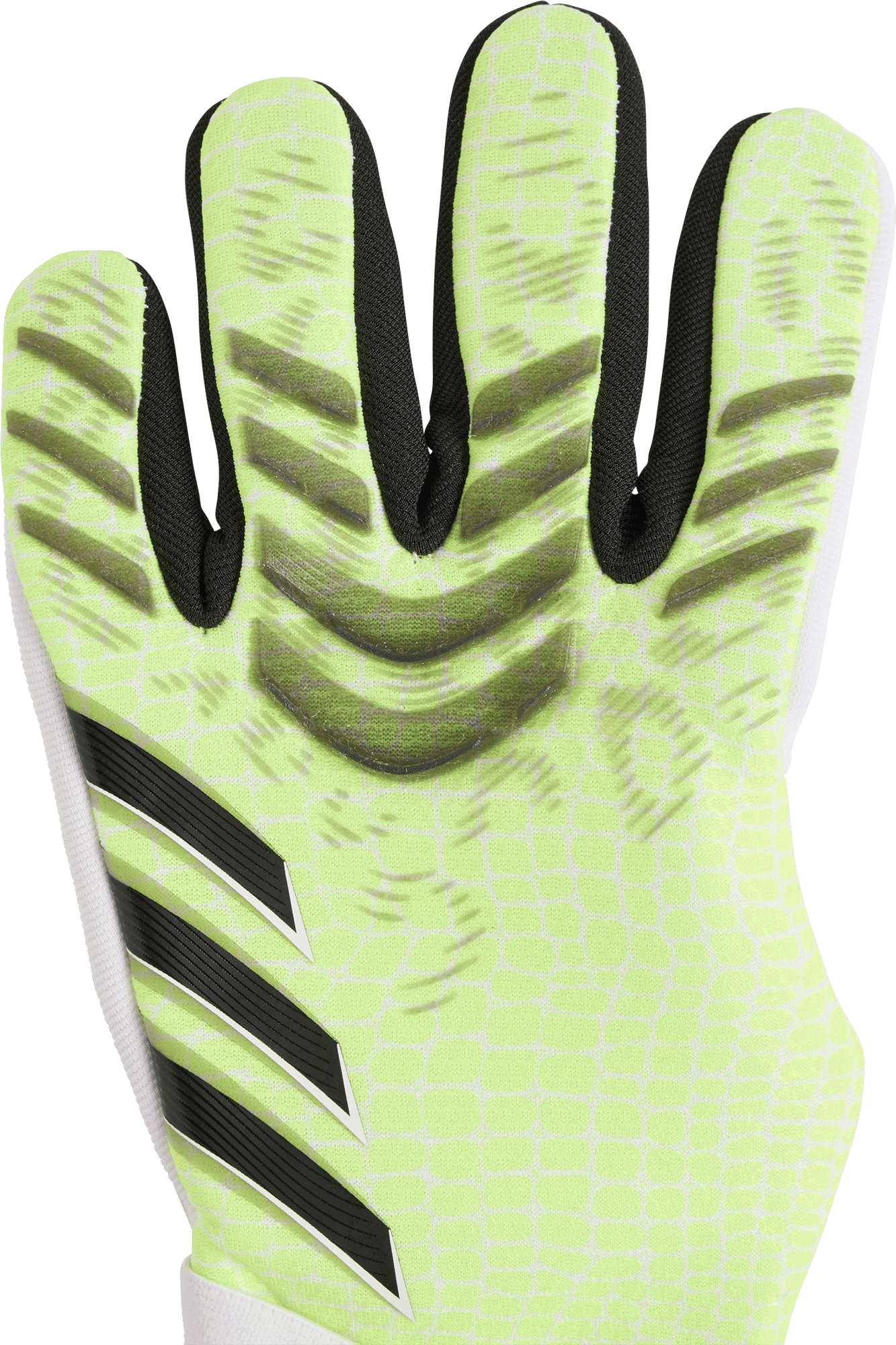Rokavice adidas Performance Predator Pro Goalkeeper Gloves Rumena | JN5363, 1