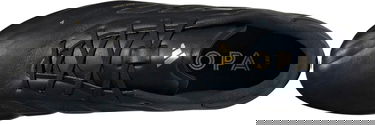 Superge in čevlji adidas Performance COPA PURE 2 ELITE FG Črna | ig6404, 1
