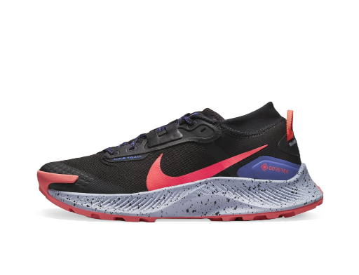 Tek Nike Pegasus Trail 3 GTX W Črna | dc8794-002