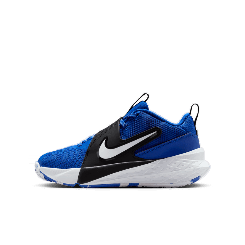 Superge in čevlji Nike Nike Team Hustle D 12 Modra | HF6279-400