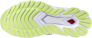 Superge in čevlji Mizuno WAVE SKYRISE 5 ROXY Siva | j1gc245802, 5