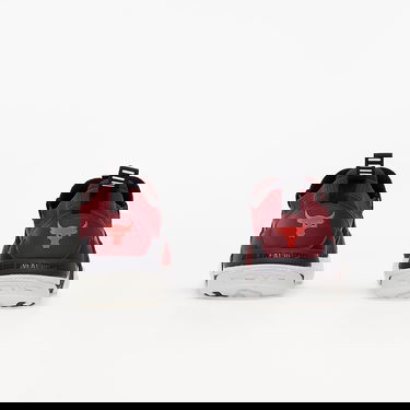 Superge in čevlji Under Armour Project Rock 4 Rdeča | 3023695-600, 3